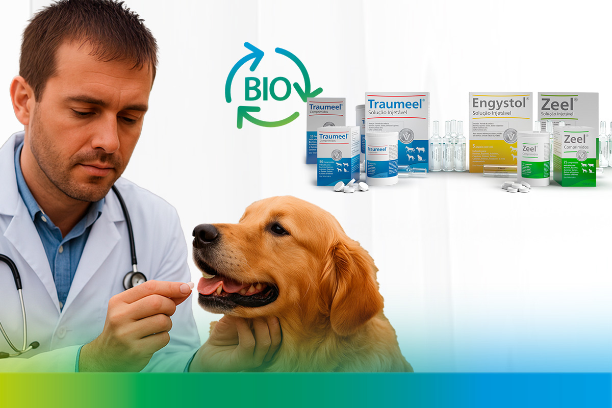 medicamentos biorreguladores