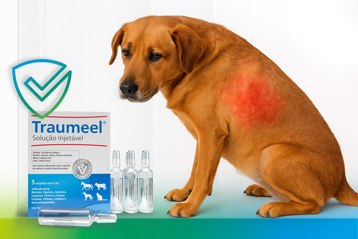 Modulação da inflamação