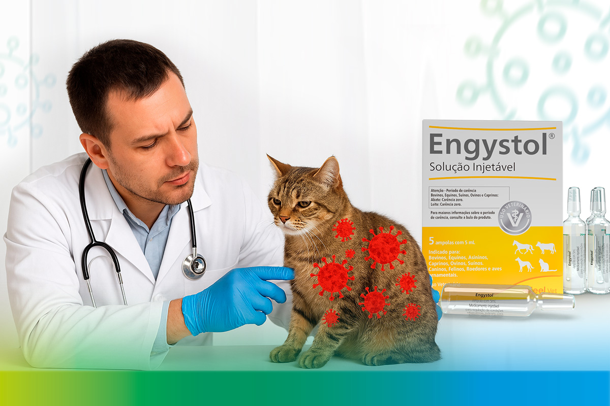 Panleucopenia Felina